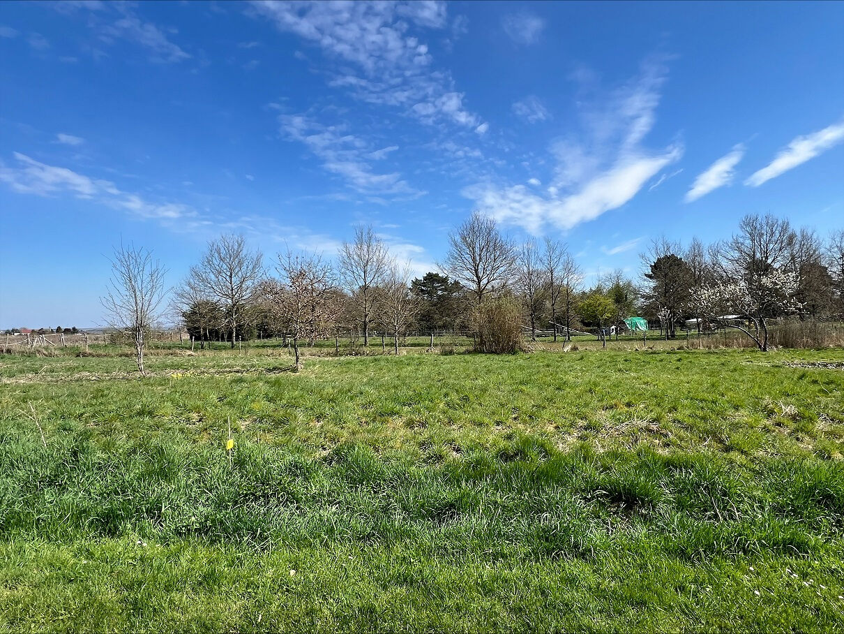 Terrain VRIGNY (45300) 509.00 m&sup2;