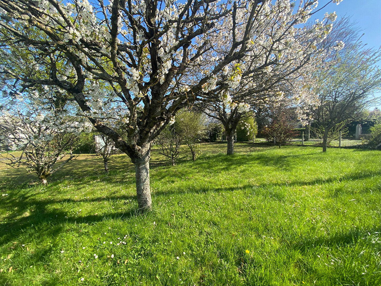 Terrain NEUVILLE AUX BOIS (45170) 528.00 m&sup2;