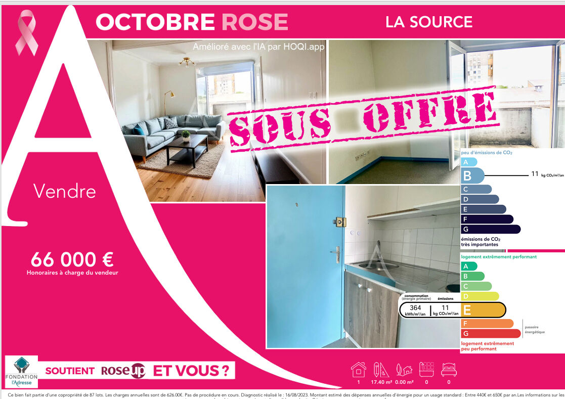 Appartement LA SOURCE (45100) 1 pièce 17.34 m²