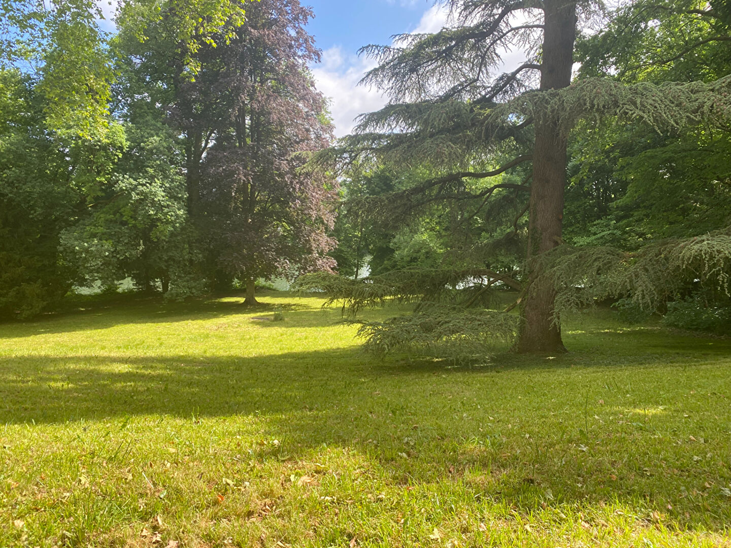 Appartement OLIVET (45160) 1 pièce 19.86 m²