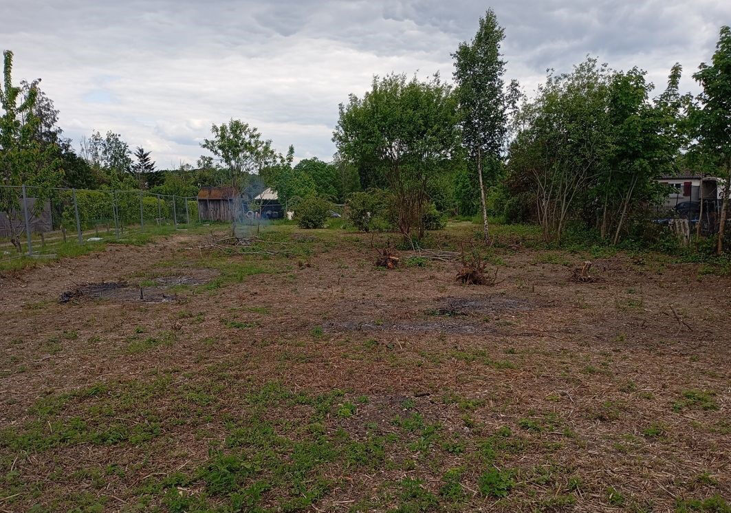 Terrain SAINTE GENEVIEVE DES BOIS (45230) 1500.00 m²