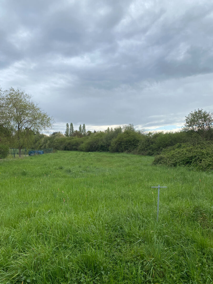 Terrain CHATENOY (45260) 6048.00 m&sup2;