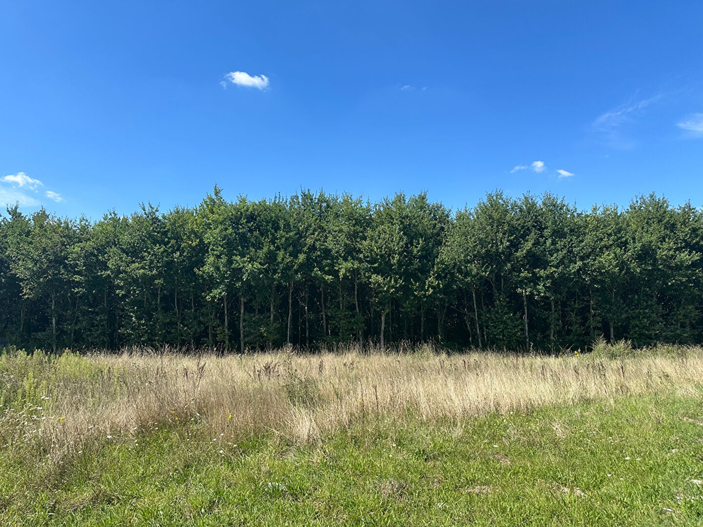Terrain BOIGNY SUR BIONNE (45760) 970.00 m²
