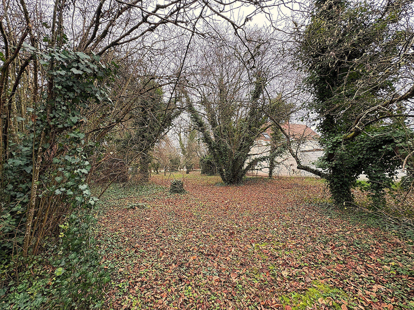 Terrain DONNERY (45450) 1919.00 m&sup2;