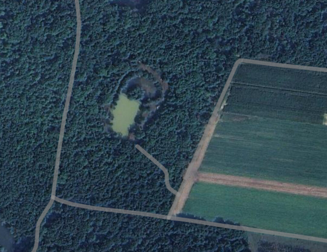 Terrain DONNERY (45450) 57980.00 m&sup2;