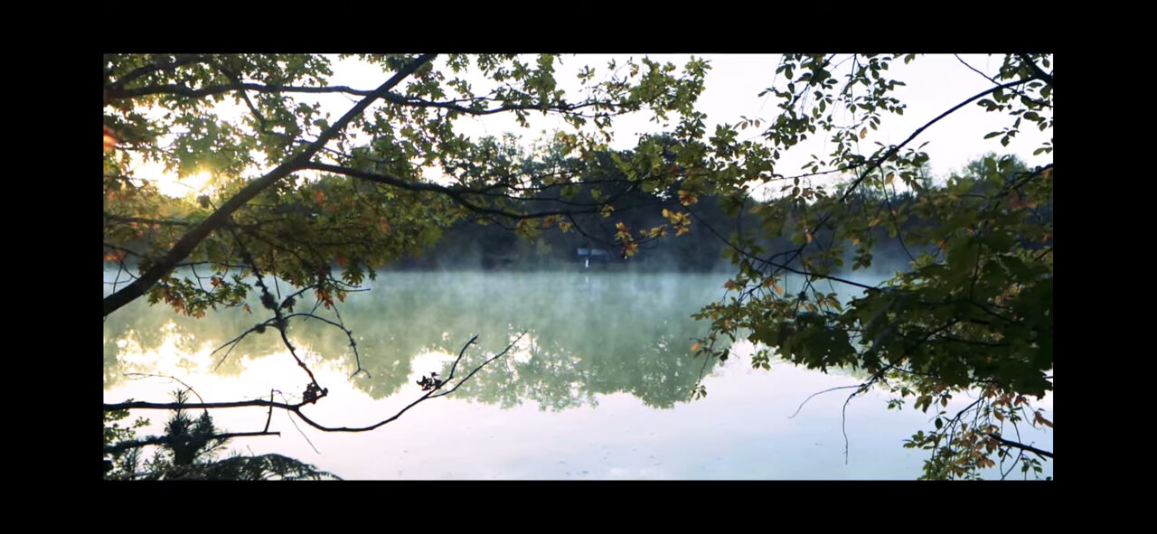 Terrain SALBRIS (41300) 243800.00 m&sup2;