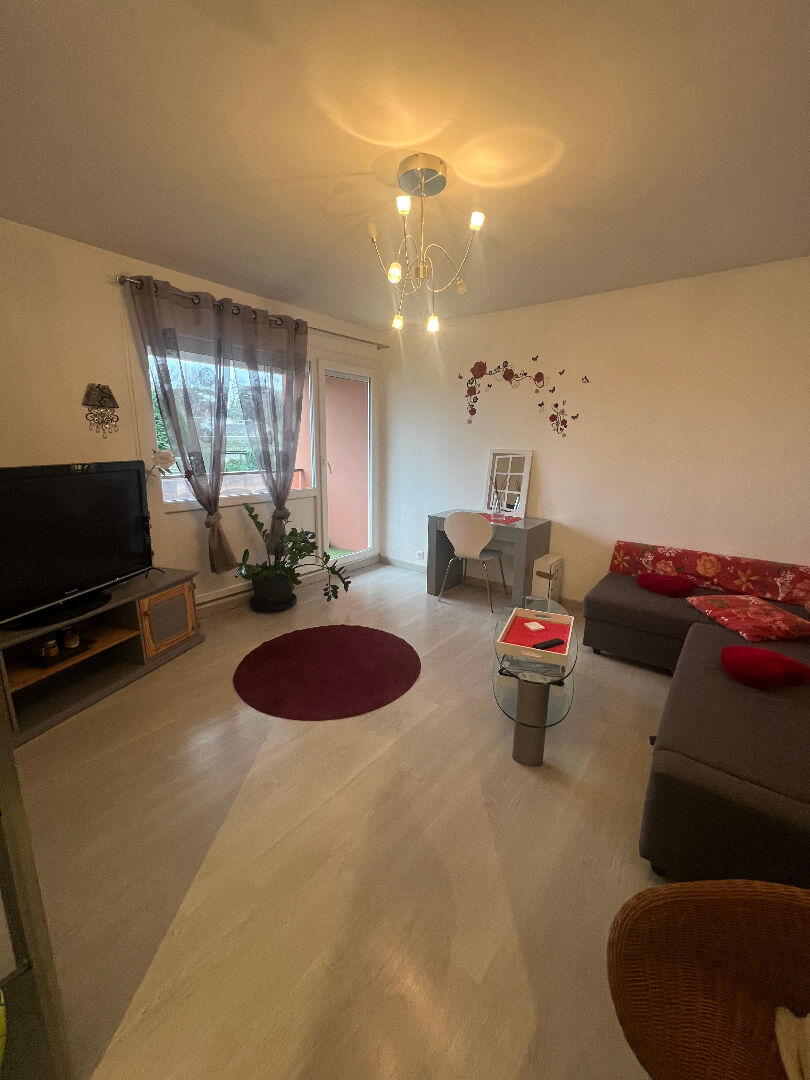 Appartement SAINT JEAN DE BRAYE (45800) 2 pi&egrave;ces 52.00 m&sup2;