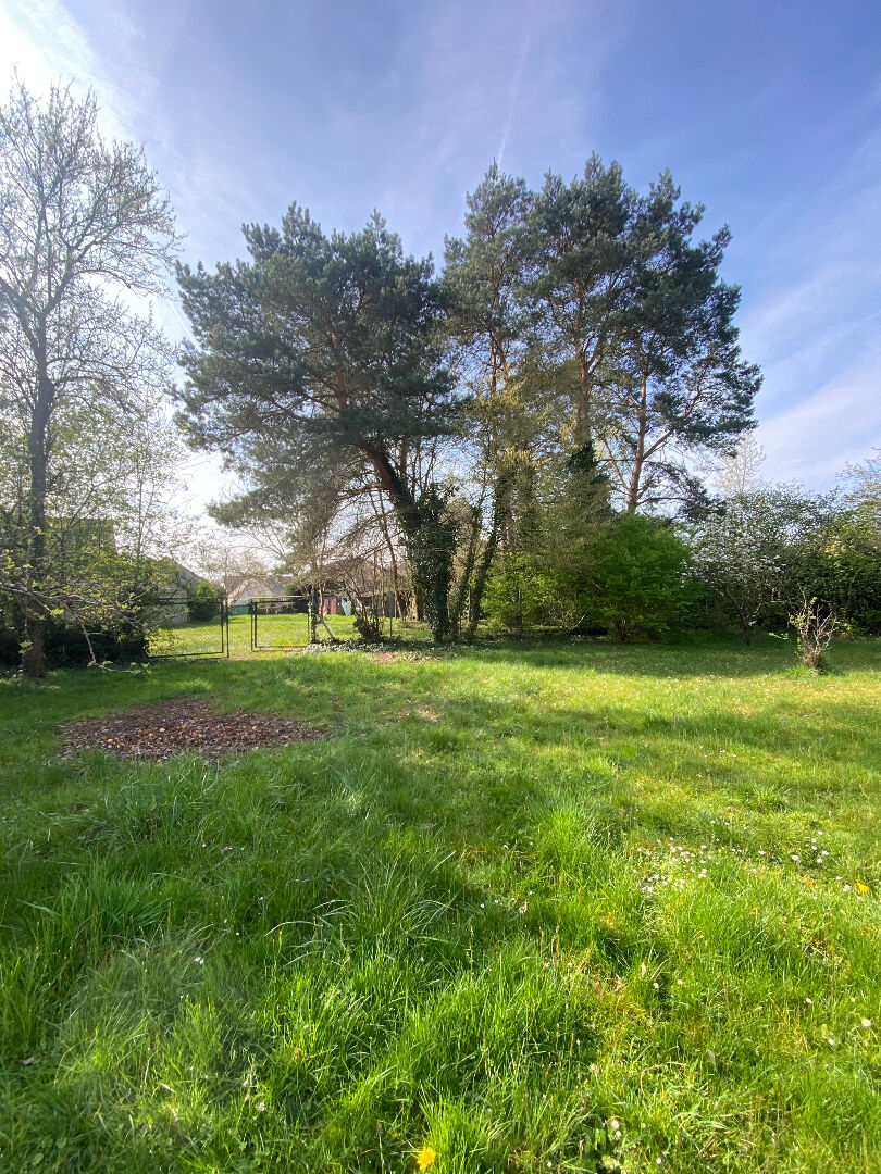 Terrain DONNERY (45450) 3000.00 m&sup2;