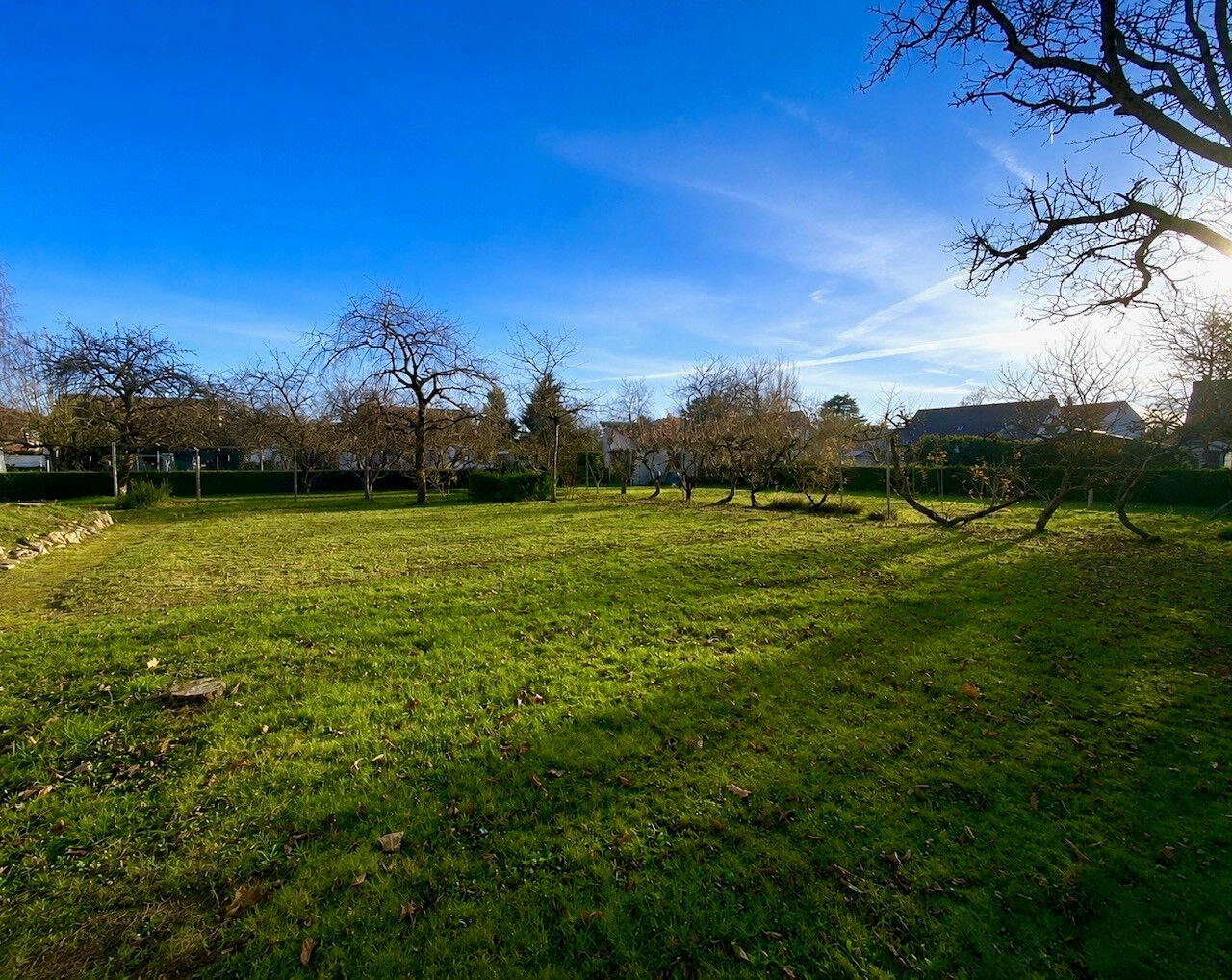 Terrain SANDILLON (45640) 1125.00 m&sup2;