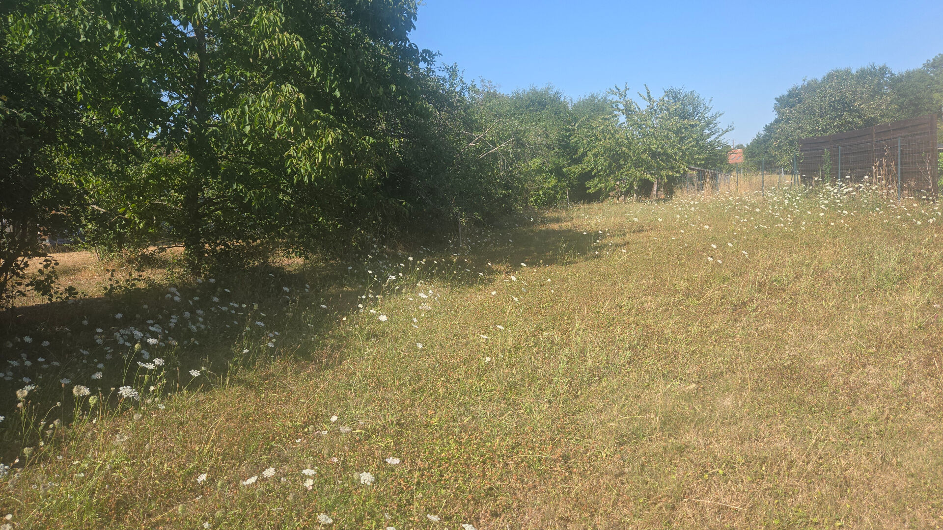 Terrain FAY AUX LOGES (45450) 1806.00 m&sup2;