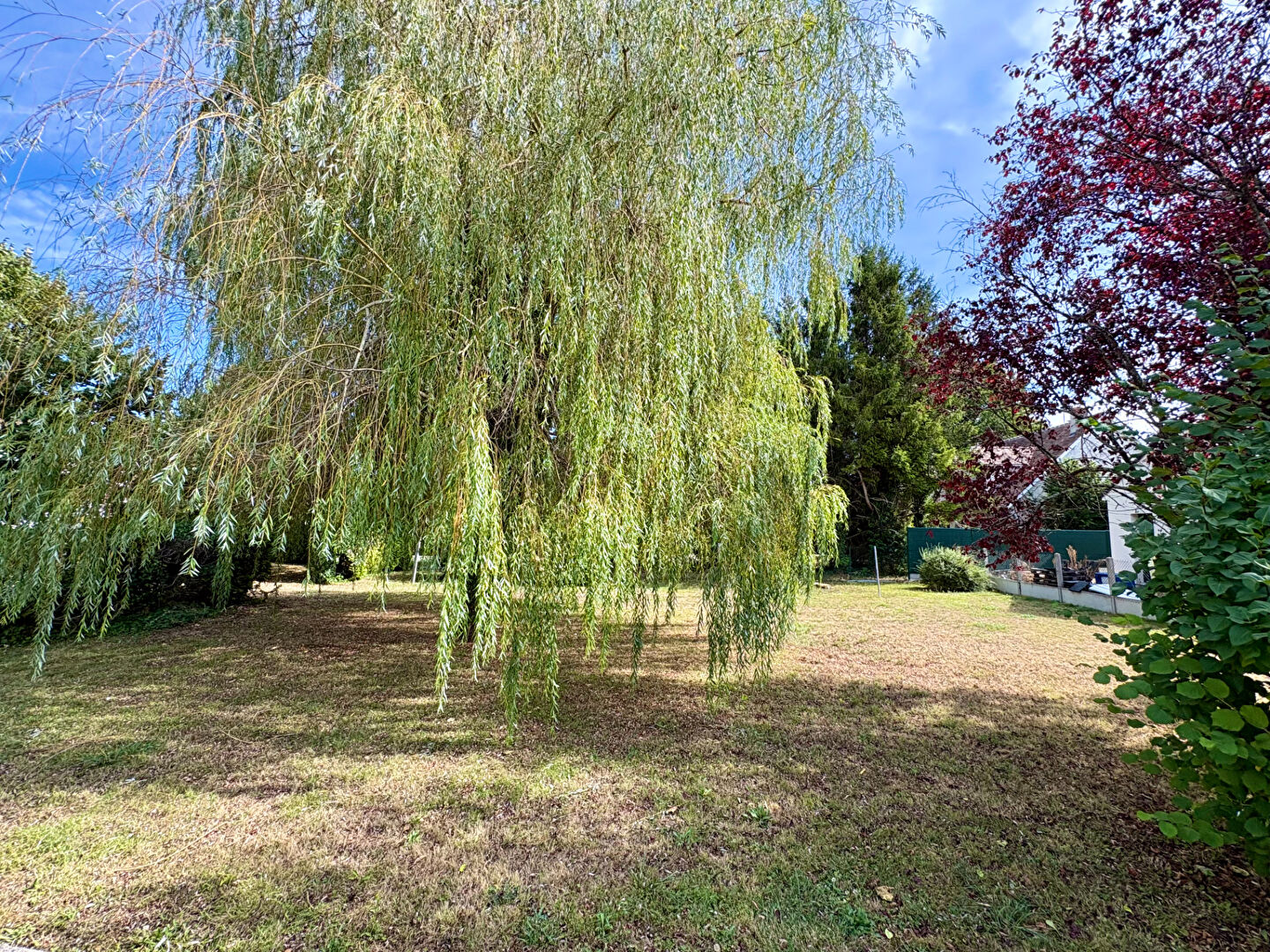 Terrain FAY AUX LOGES (45450) 541.00 m&sup2;