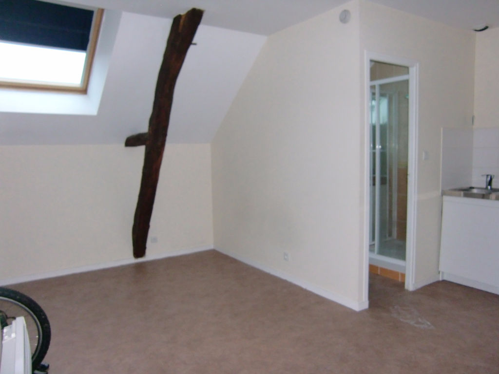 Appartement MONTJEAN SUR LOIRE (49570) 1 pièce 18.23 m²