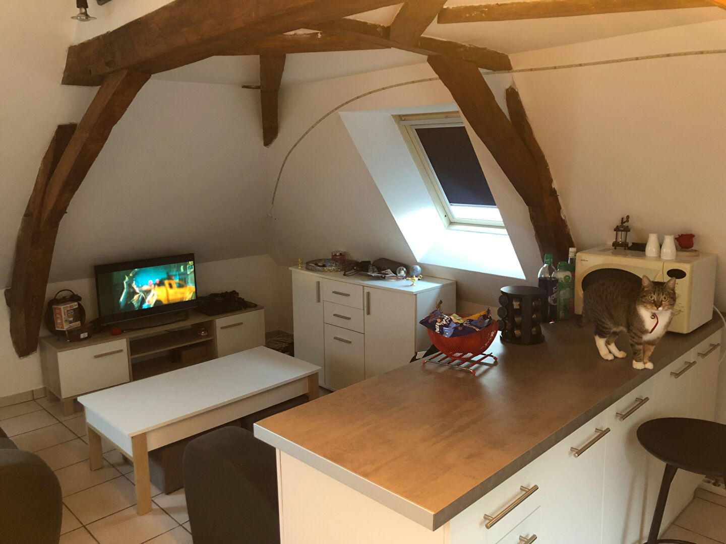 Appartement TIERCE (49125) 3 pi&egrave;ces 35.55 m&sup2;