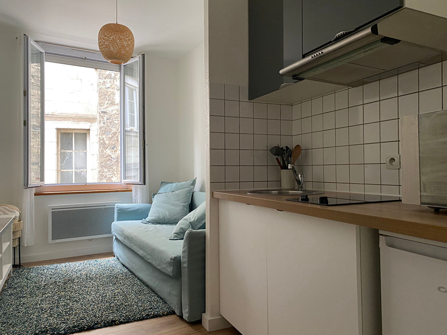 Appartement ANGERS (49100) 1 pièce 18.86 m²