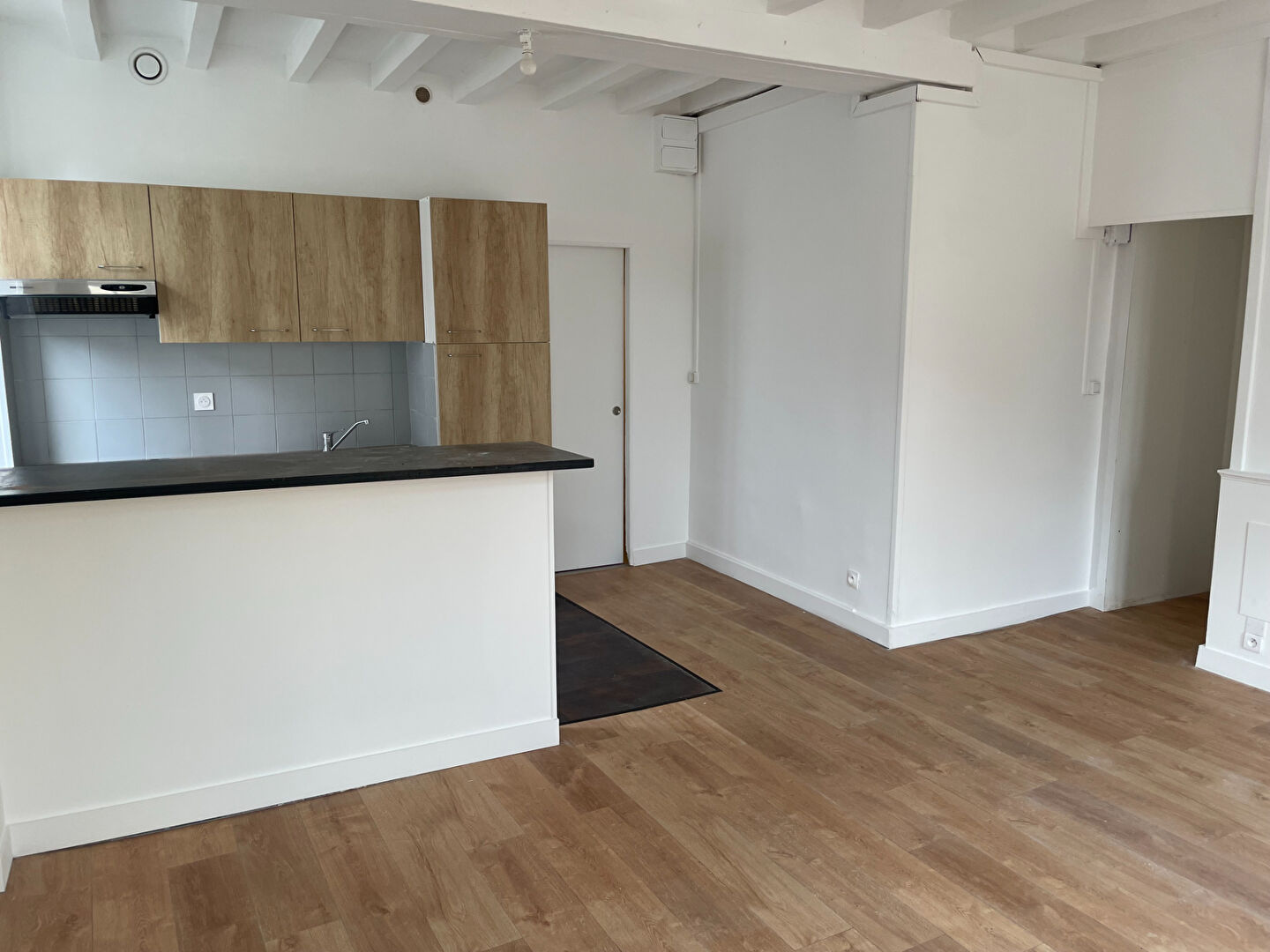 Appartement BRISSARTHE (49330) 2 pi&egrave;ces 52.72 m&sup2;