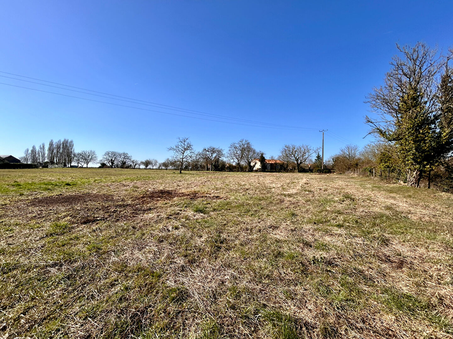 Terrain THOUARCE (49380) 1464.00 m²