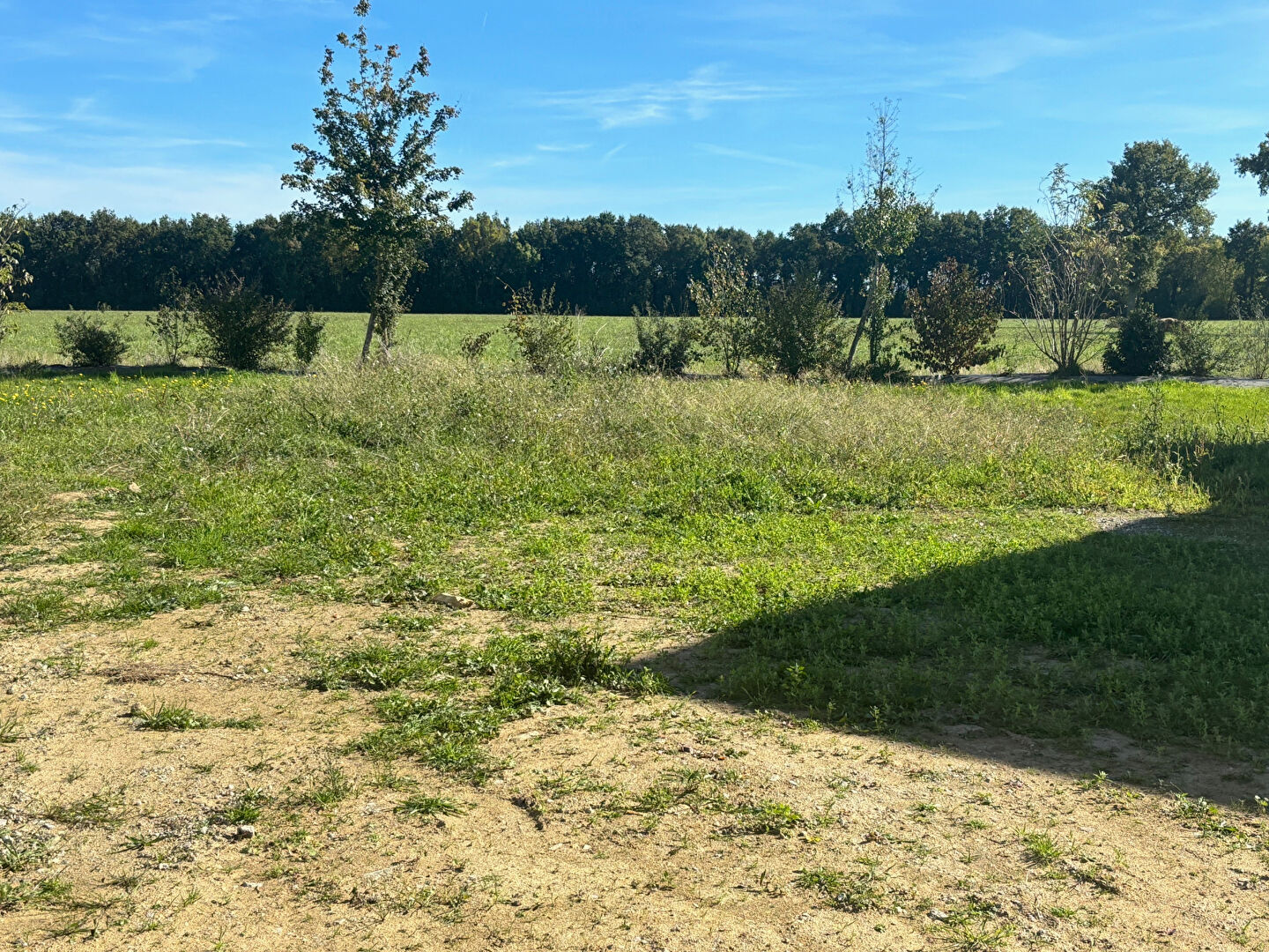 Terrain SAINT MARS DU DESERT (44850) 462.00 m²