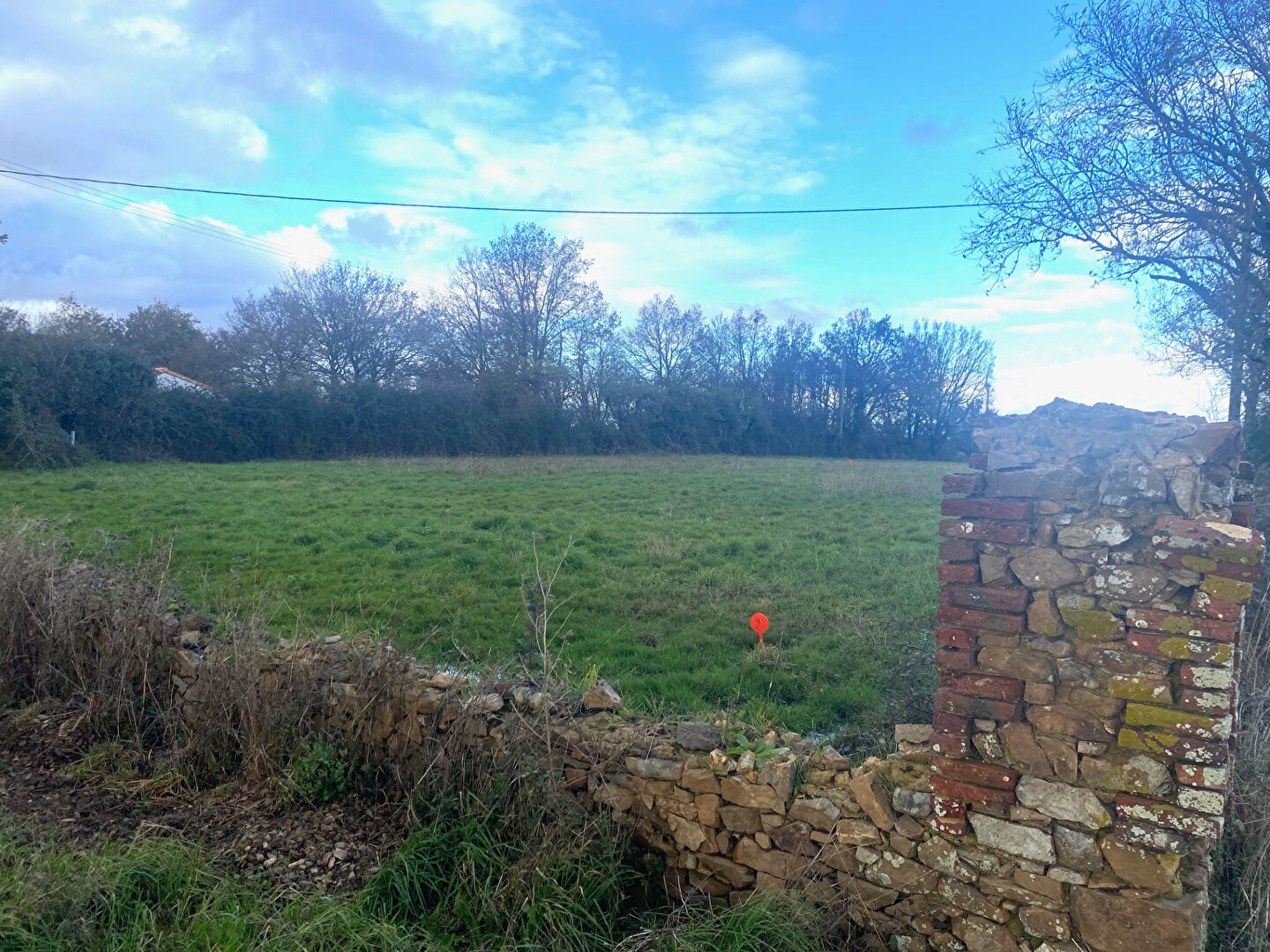 Terrain LIGNE (44850) 388.00 m²