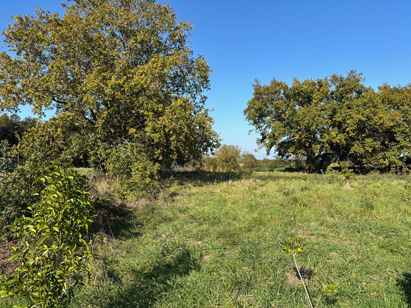 Terrain LIGNE (44850) 388.00 m²
