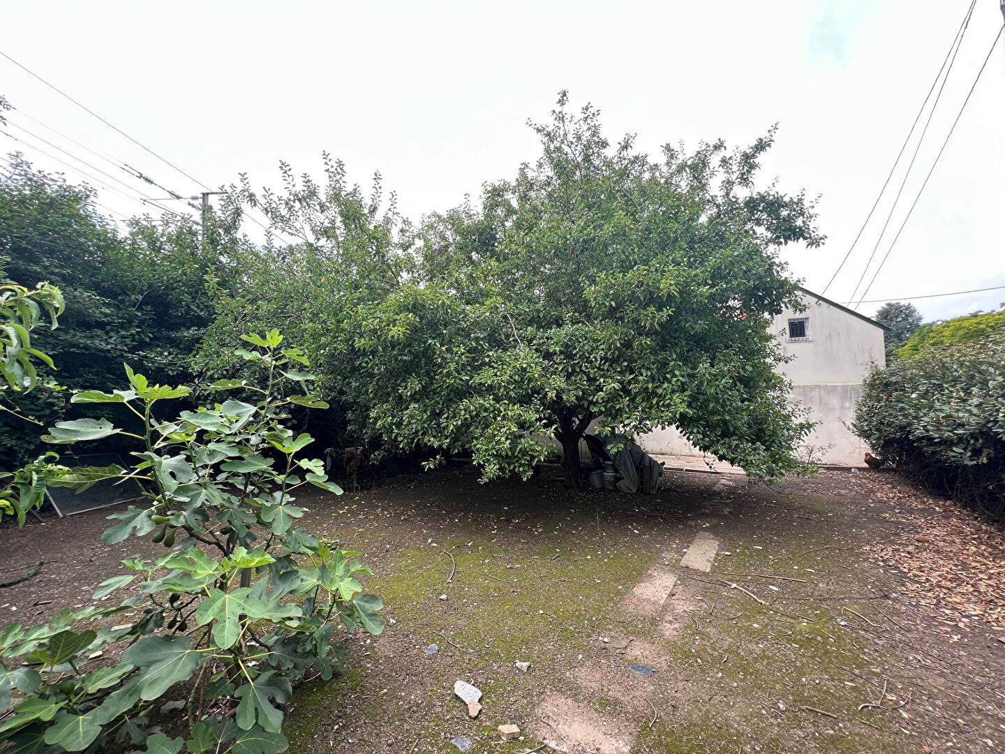Terrain ANGERS (49100) 295.00 m²