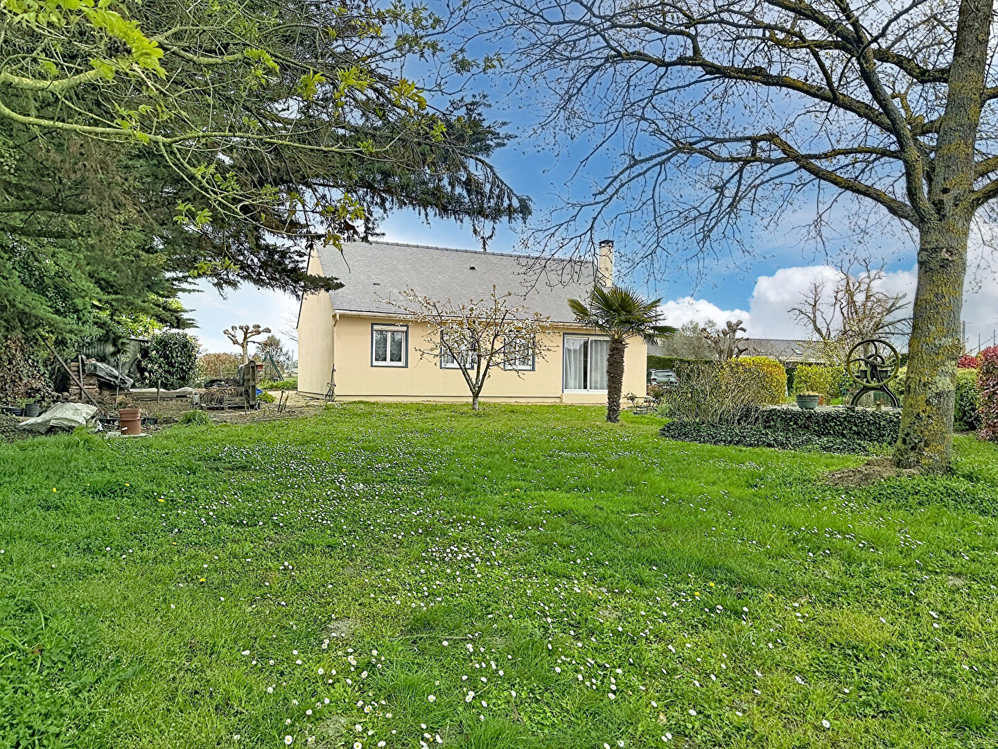 Maison SAINTE GEMMES SUR LOIRE (49130) 5 pi&egrave;ces 91.00 m&sup2;
