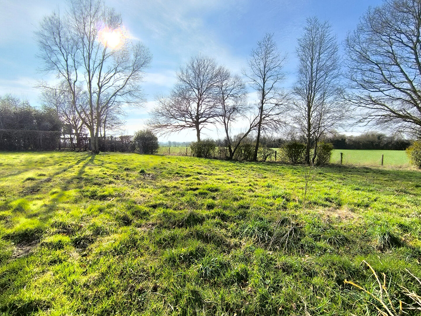 Terrain THORIGNE D ANJOU (49220) 1721.00 m²
