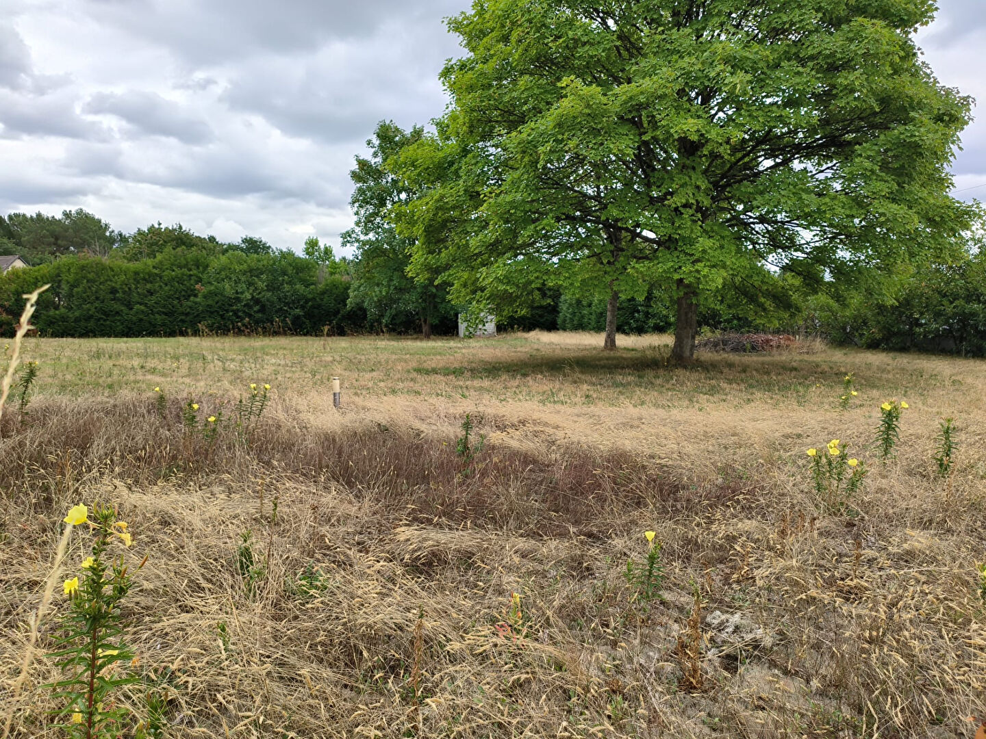 Terrain YVRE L EVEQUE (72530) 765.00 m²