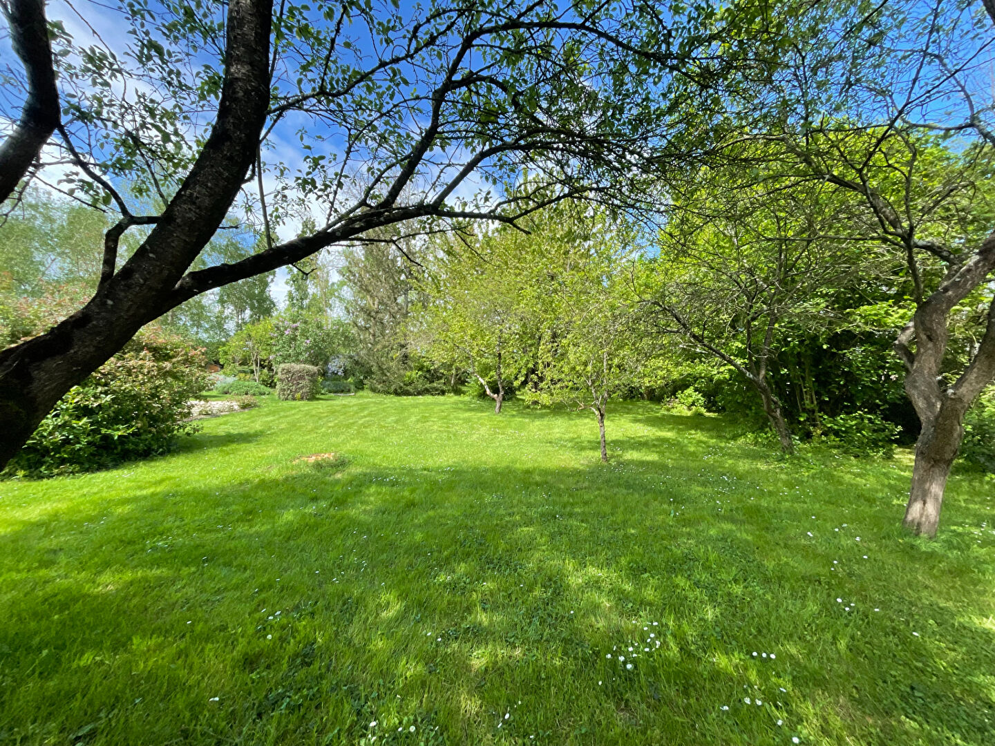 Terrain ERDRE EN ANJOU (49220) 1600.00 m²