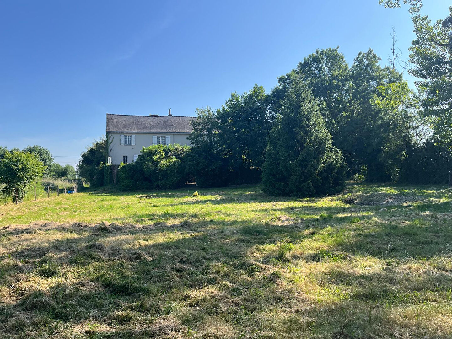 Maison CHALONNES SUR LOIRE (49290) 8 pièces 241.00 m²