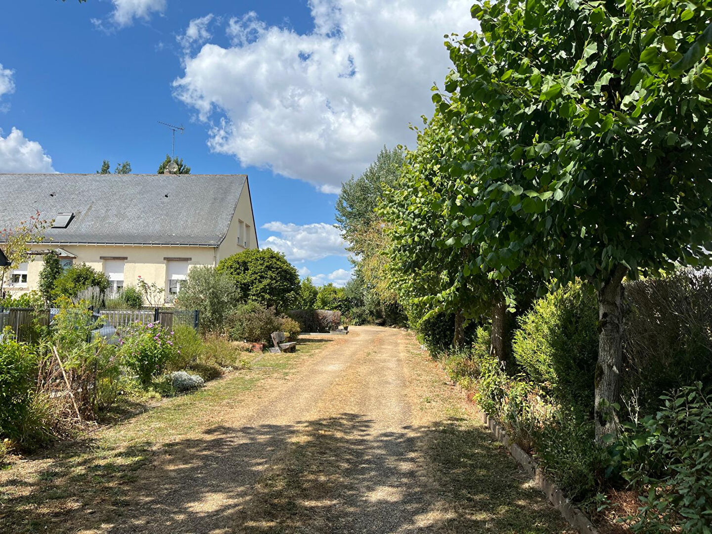 Maison SAINT BARTHELEMY D ANJOU (49124) 10 pièces 215.00 m²