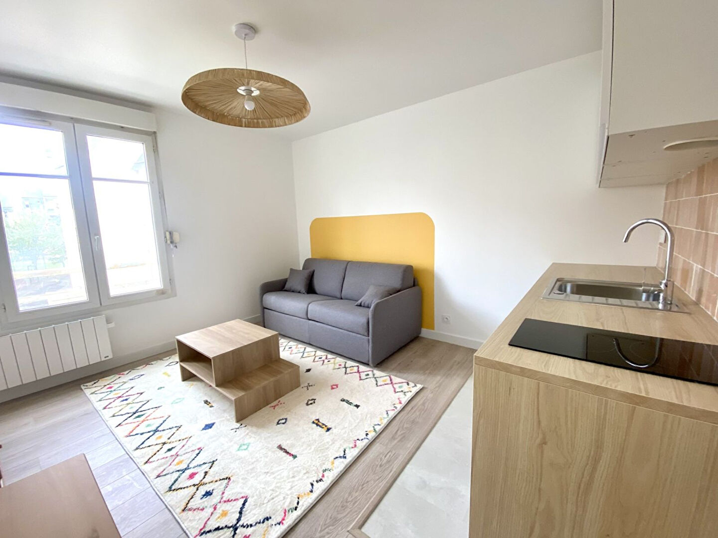 Appartement LE MANS (72000) 1 pièce 20.41 m²