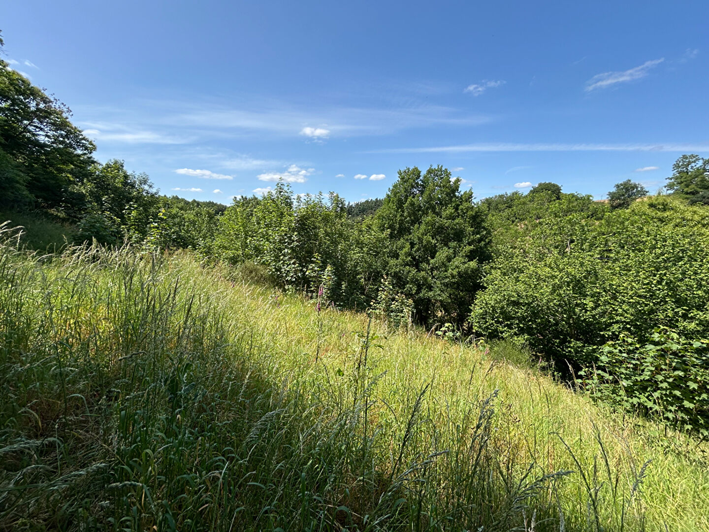 Terrain de loisirs CHATEAU GONTIER SUR MAYENNE (53200)