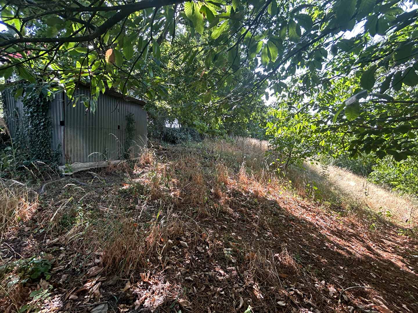 Terrain de loisirs CHATEAU GONTIER SUR MAYENNE (53200)