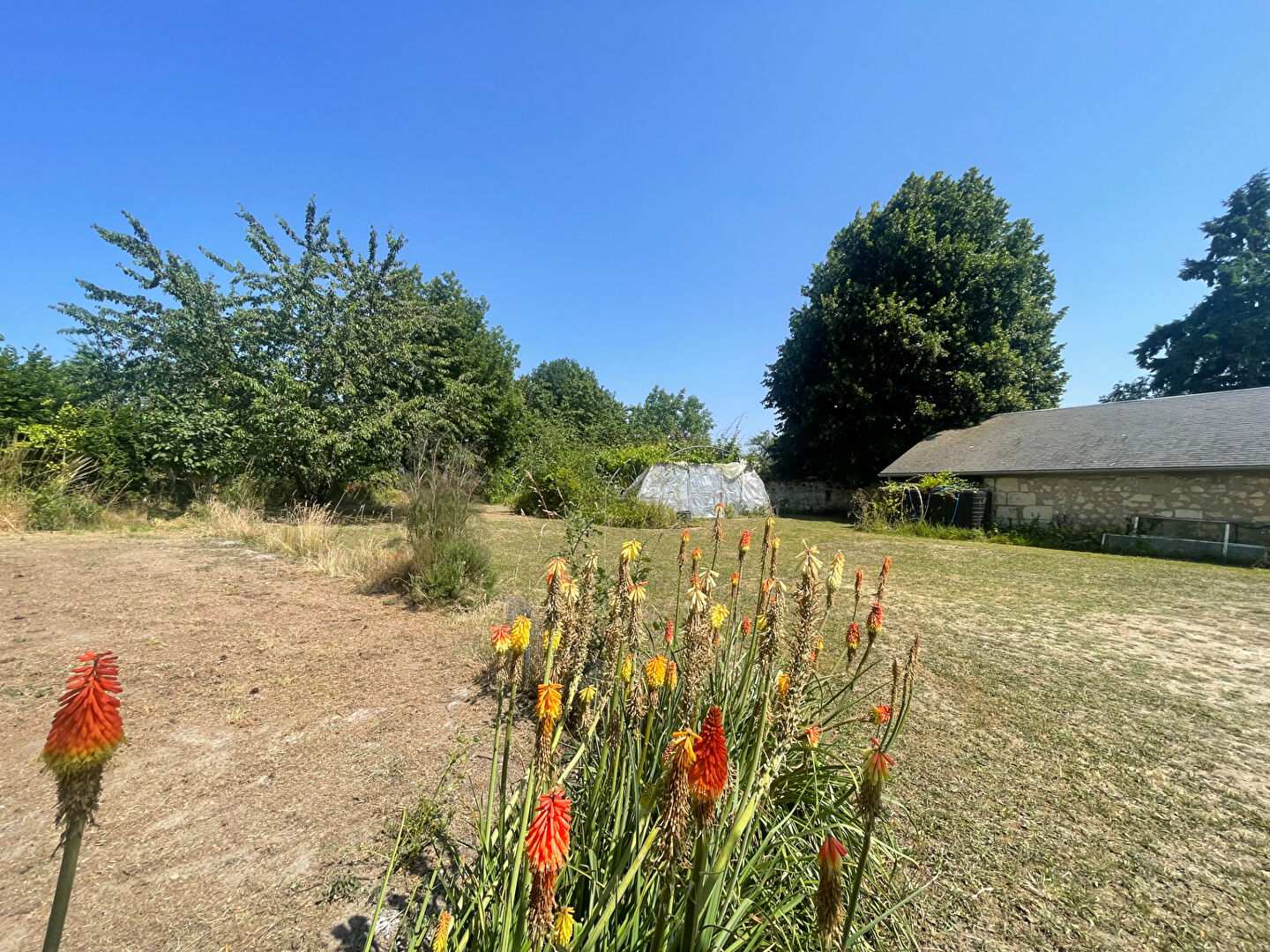 Terrain LES BOIS D ANJOU (49250) 1156.00 m²