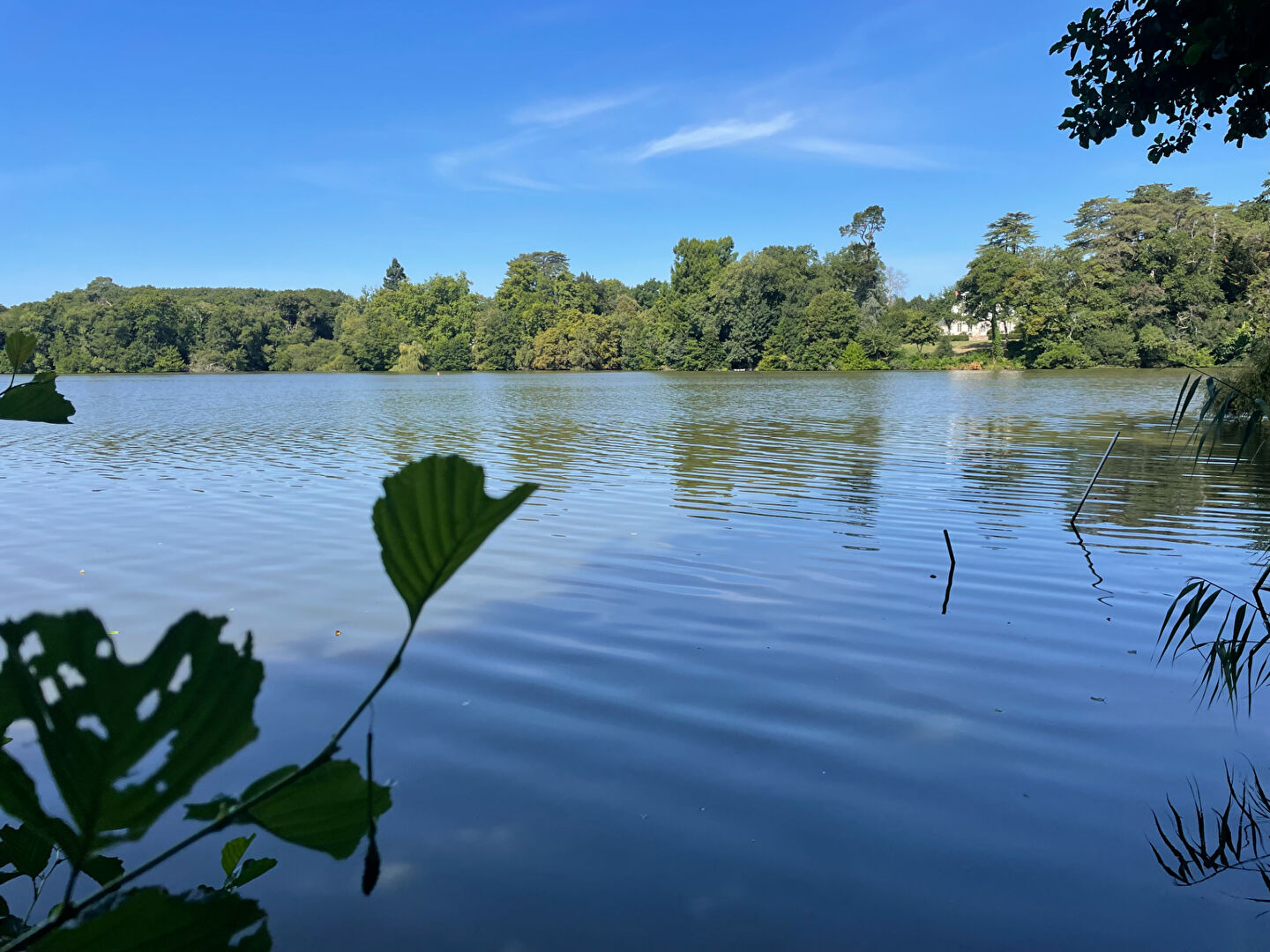 Maison NANTES (44300) 5 pièces 85.00 m²