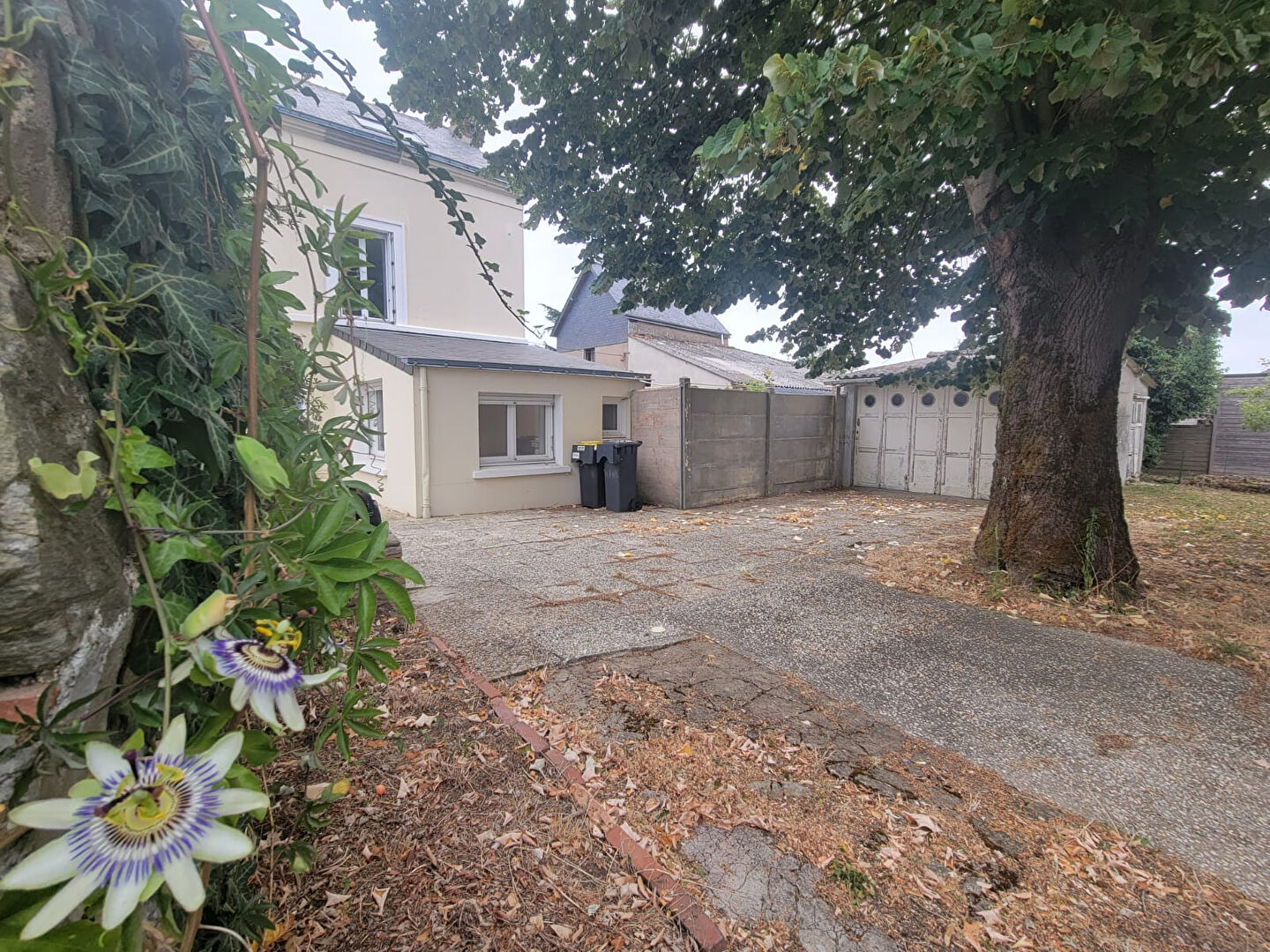 Maison CHALONNES SUR LOIRE (49290) 4 pièces 80.00 m²
