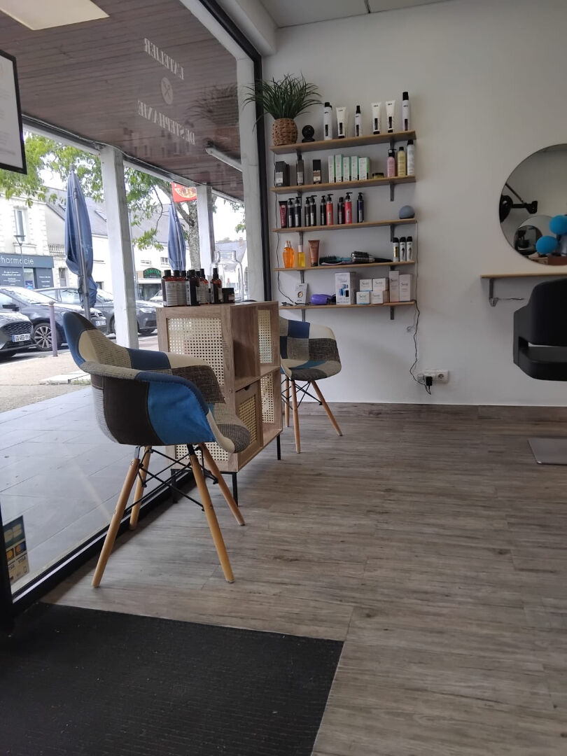 Fonds de commerce MONTREUIL JUIGNE (49460) 48.00 m²