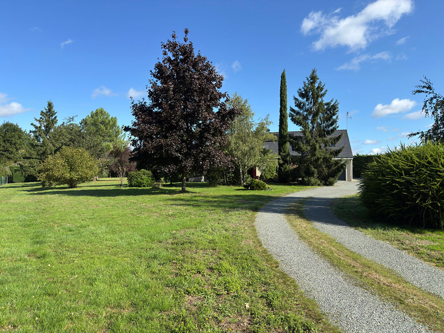 Maison TRELAZE (49800) 7 pièces 167.00 m²
