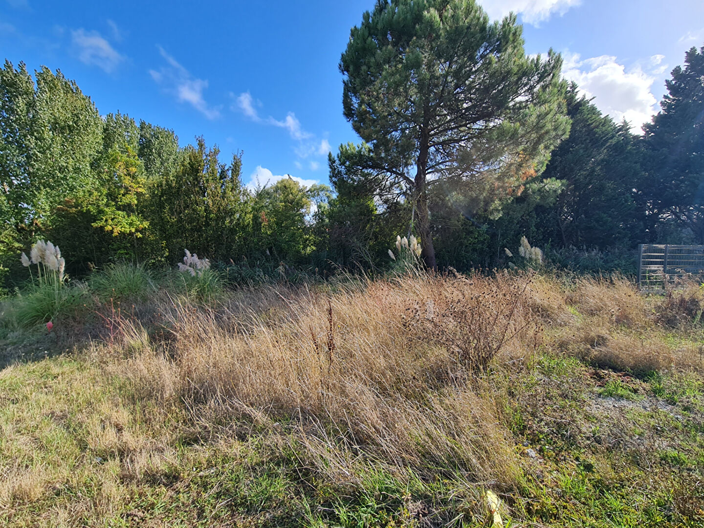 Terrain CHATELAILLON PLAGE (17340) 302.00 m²