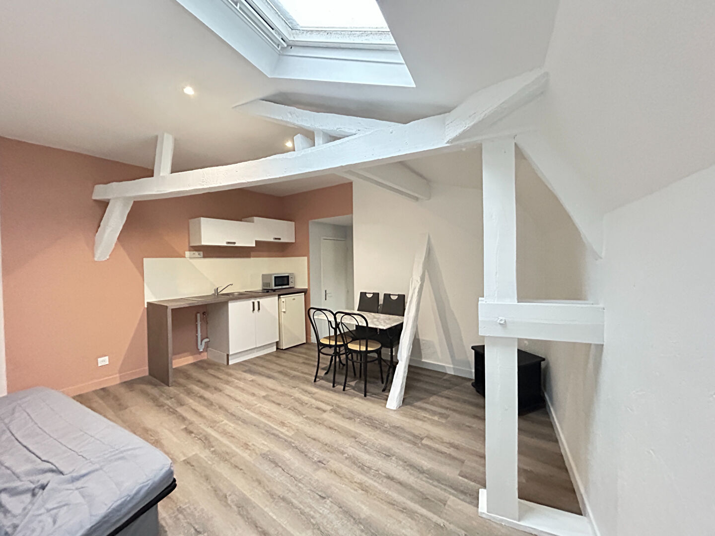 Appartement CHATEAU-GONTIER-SUR MAYENNE (53200) 2 pièces 28.00 m²
