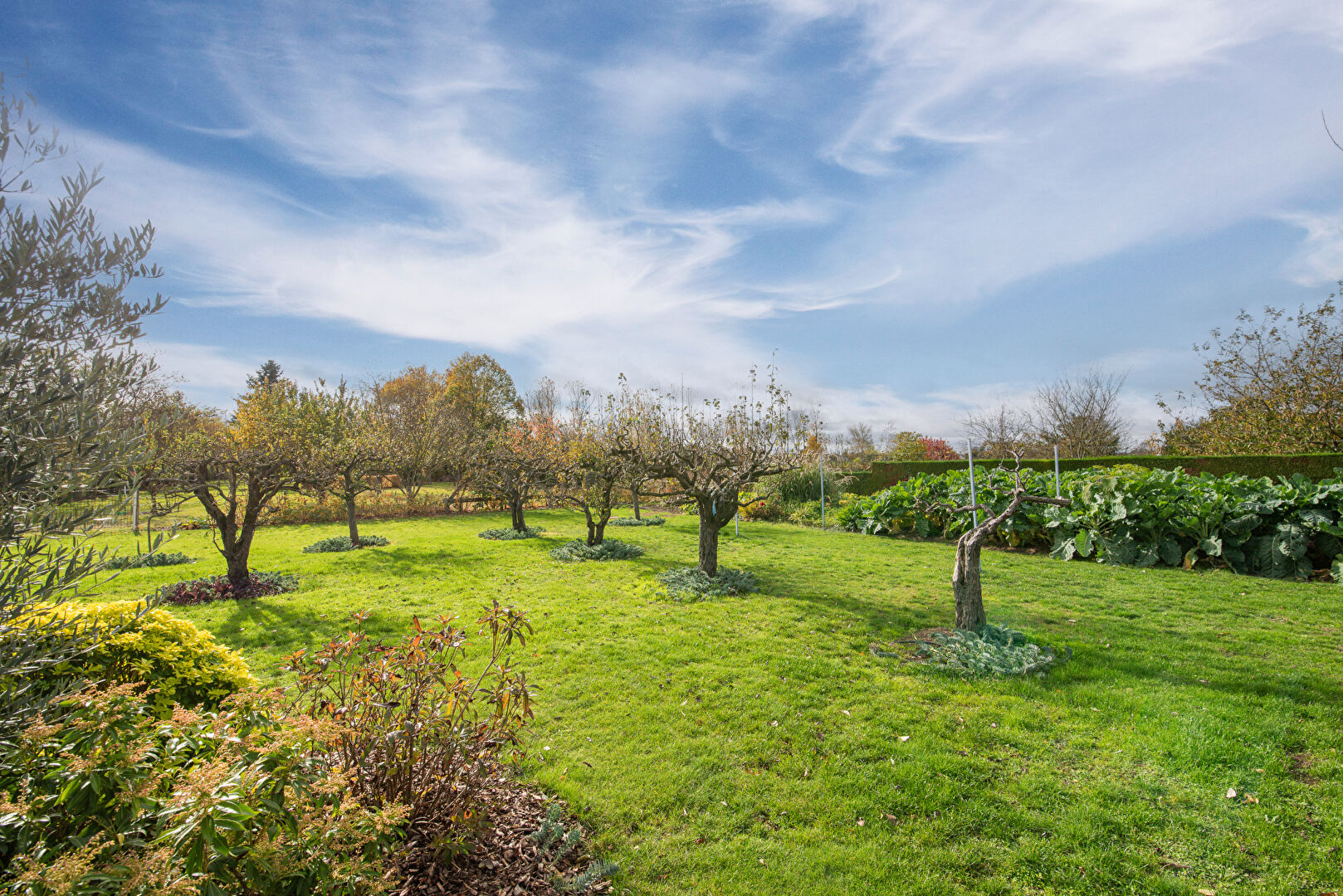 Maison SAINT GEORGES SUR LOIRE (49170) 6 pi&egrave;ces 210.00 m&sup2;