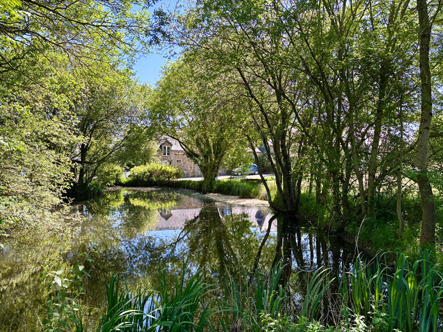 Maison SAINT DENIS D ANJOU (53290) 8 pi&egrave;ces 250.00 m&sup2;