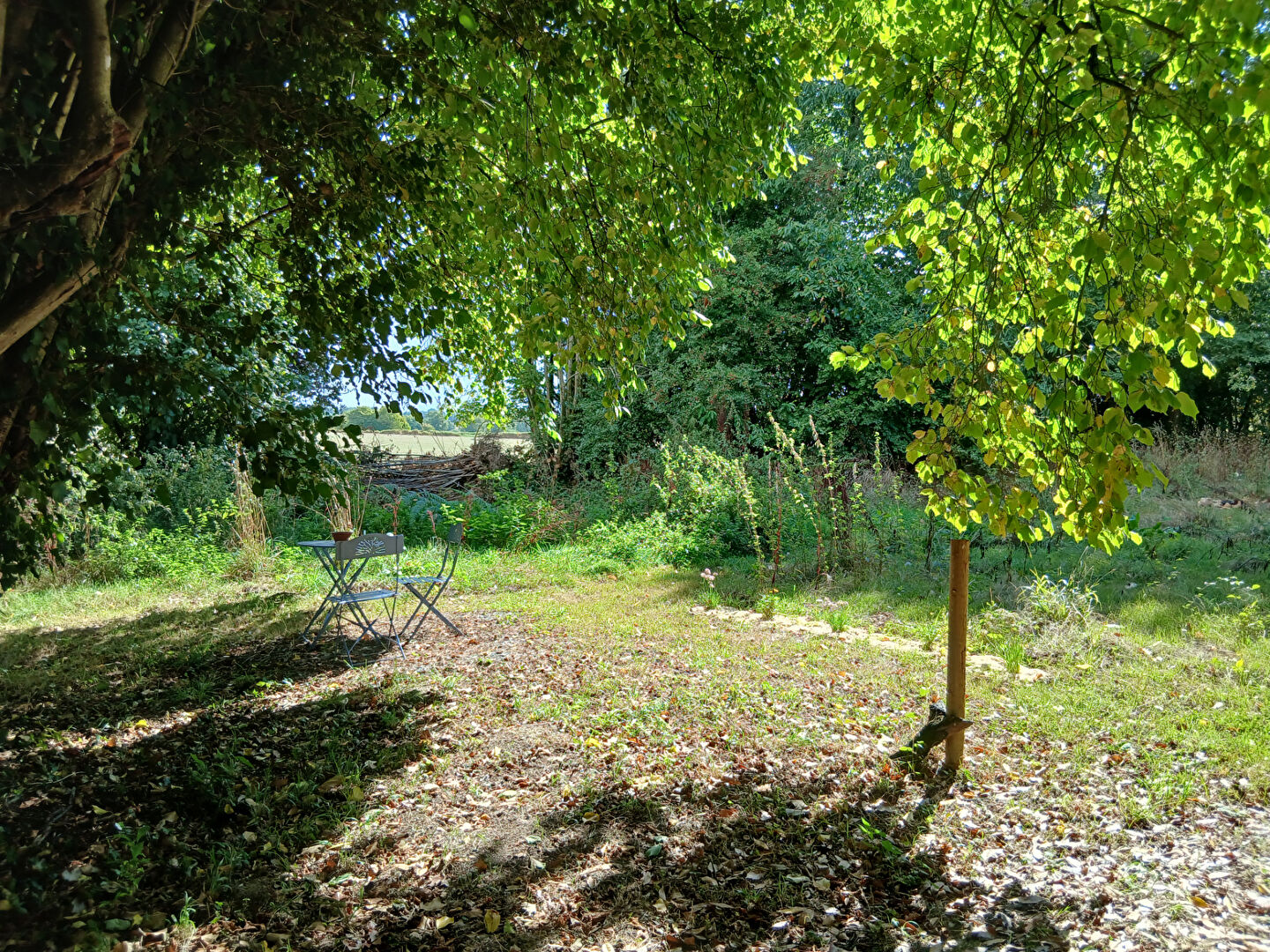 Propri&eacute;t&eacute; de loisirs BOUILLE MENARD (49520)