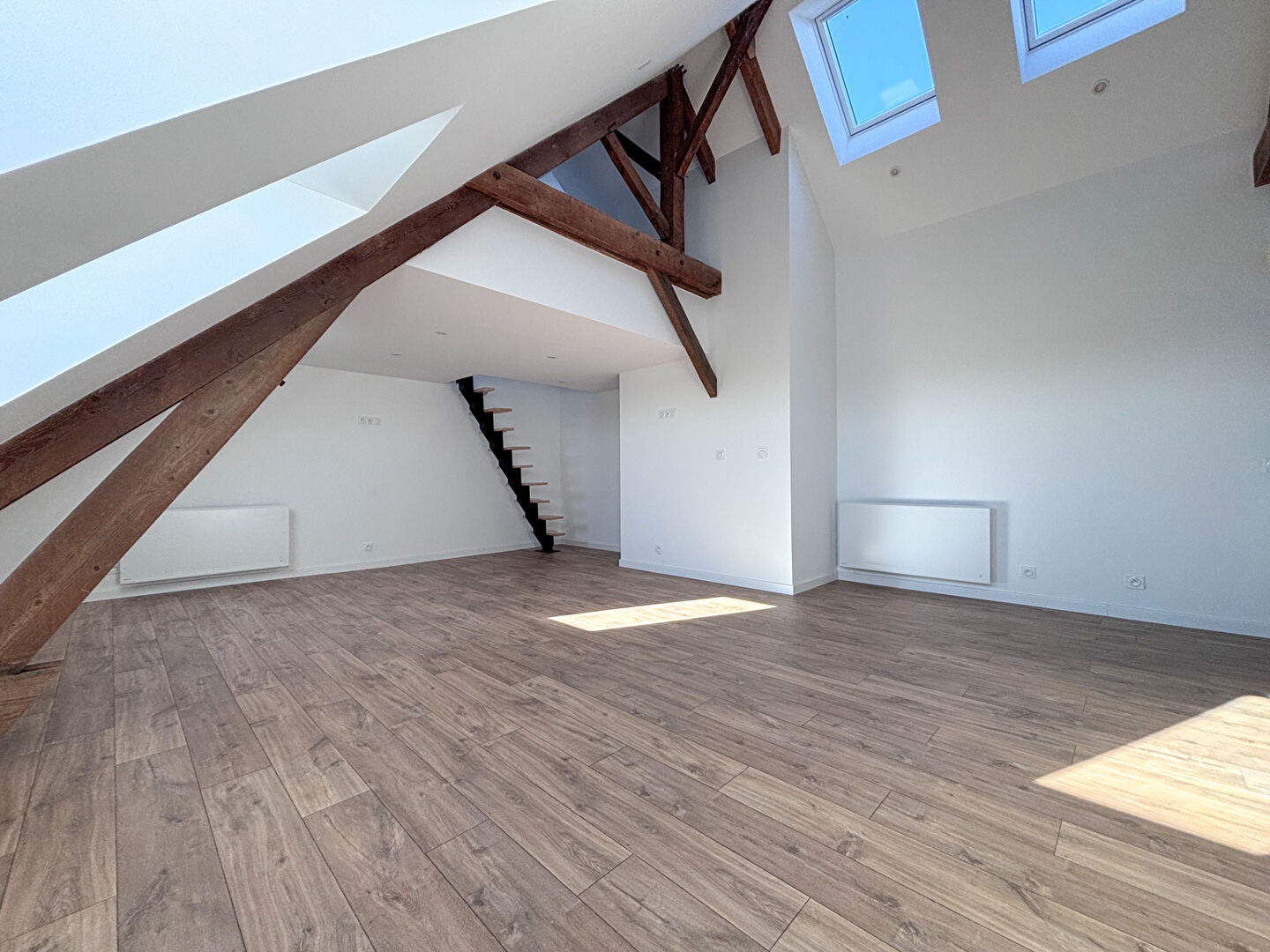 Appartement CHATEAU GONTIER SUR MAYENNE (53200) 1 pièce 54.00 m²