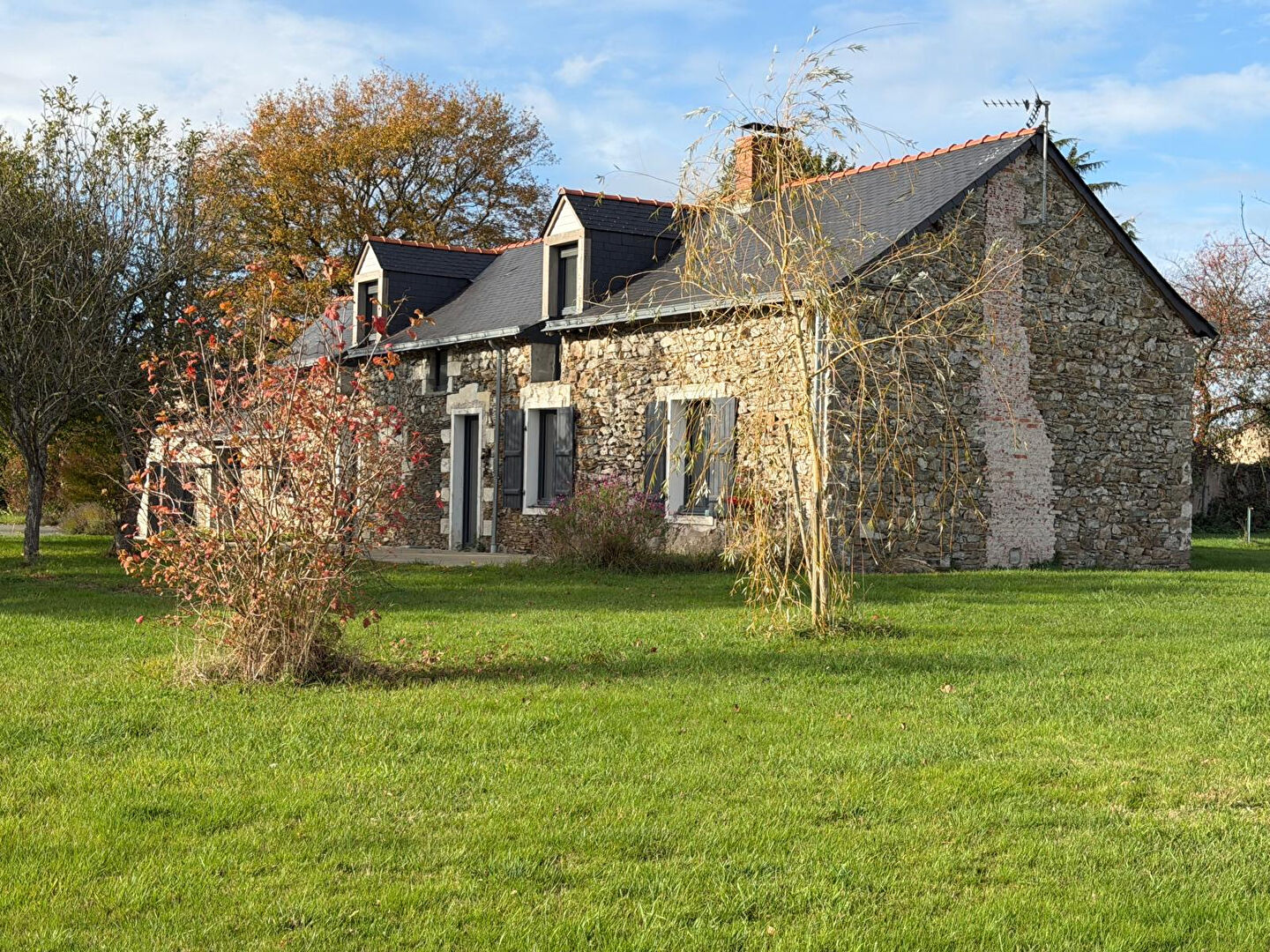Maison MOZE SUR LOUET (49610) 5 pièces 198.00 m²