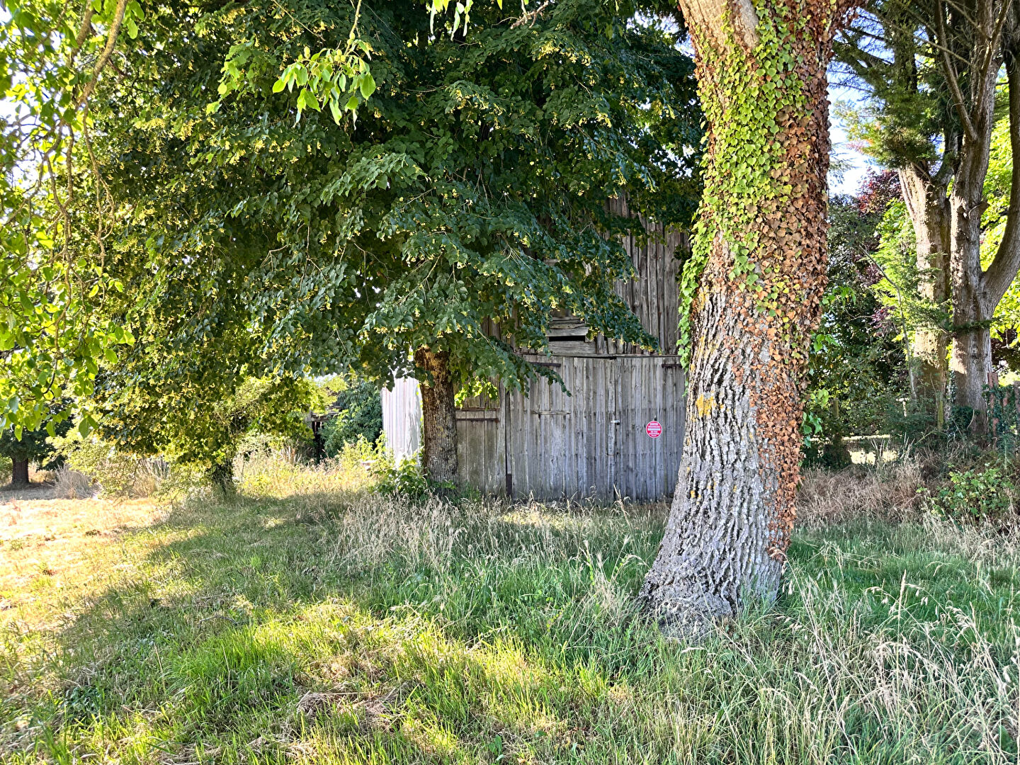 Terrain NOYANT VILLAGES (49490) 278.00 m²