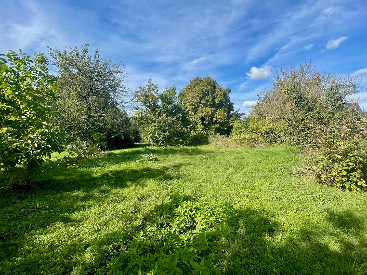 Terrain BRISSAC LOIRE AUBANCE (49320) 1100.00 m²