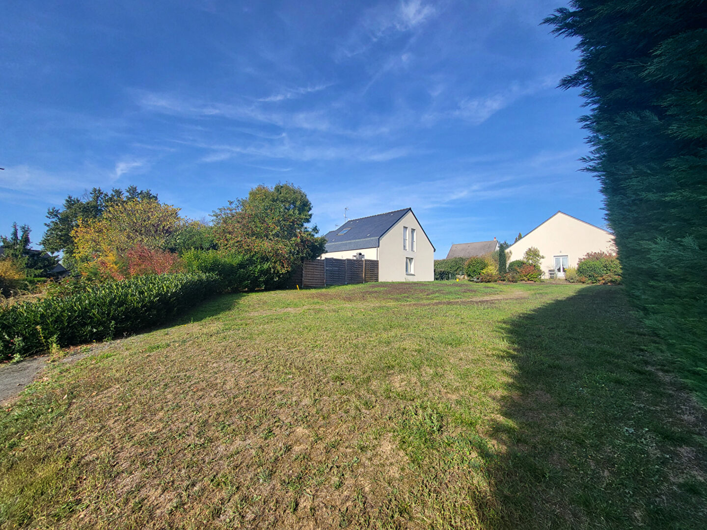 Terrain BELLEVIGNE EN LAYON (49380) 427.00 m²