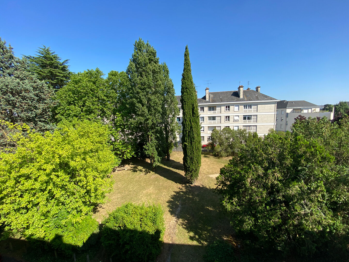 Appartement ANGERS (49100) 1 pièce 29.34 m²