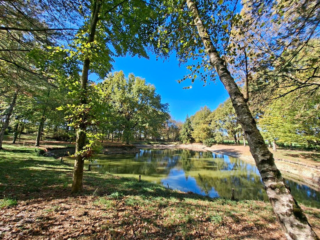 Etang VILLEVEQUE (49140)